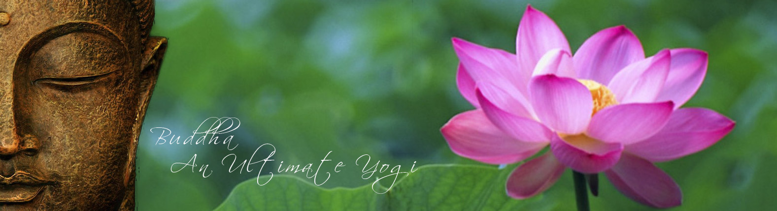 buddha-lotus-banner